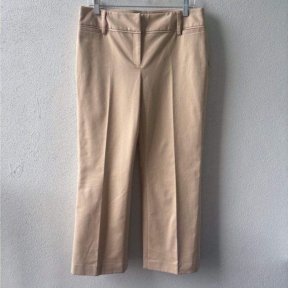 Rafaella Pants - Rafaella Tan Petite Size 10 Pants Ankle Front Zip & Button Career Office Stretch